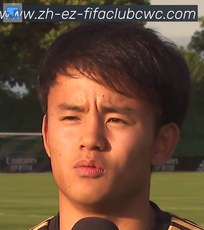 维尼修斯